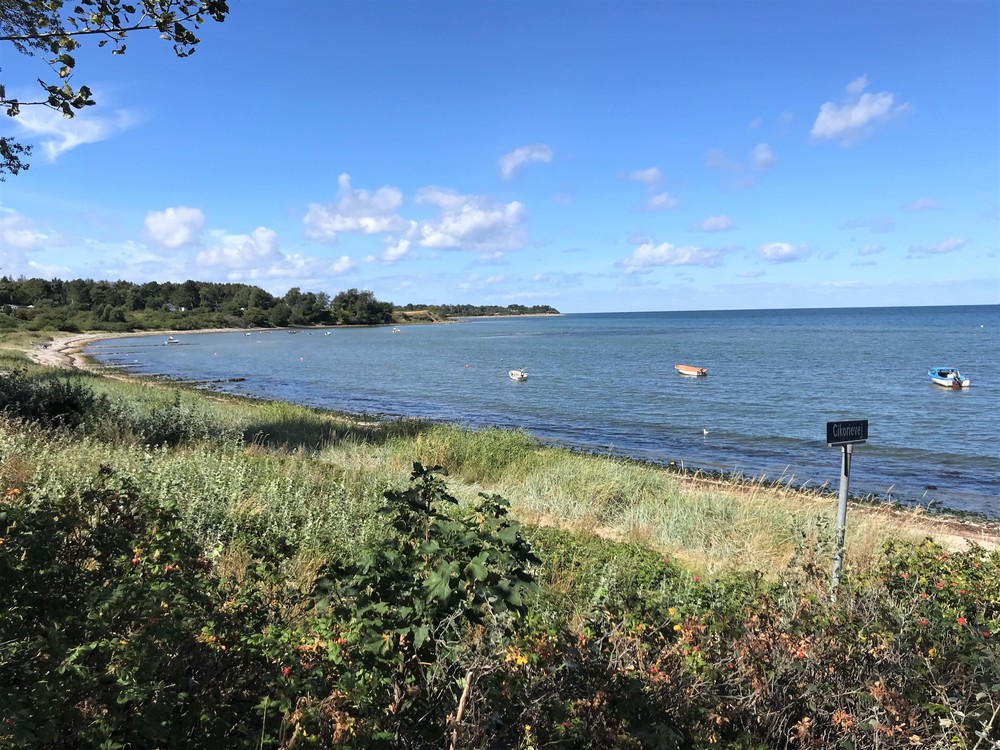 Ordrup Strandvej 11, 4540 Fårevejle